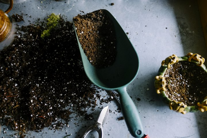 Garden mulch bed
